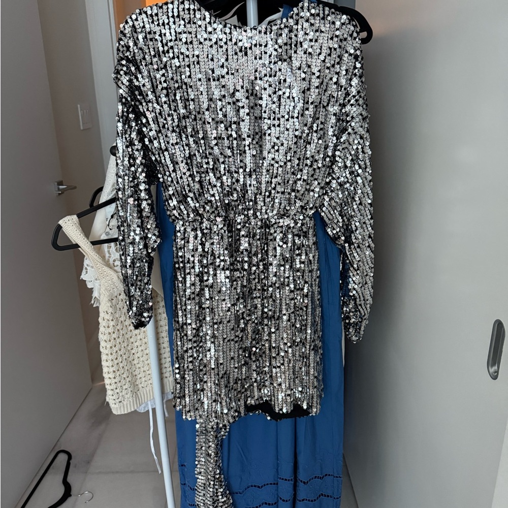 Zara Silver Sequin Dress